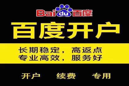 深入解析SEM竞价托管的成功案例